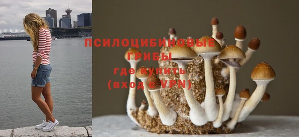 мдпв Баксан